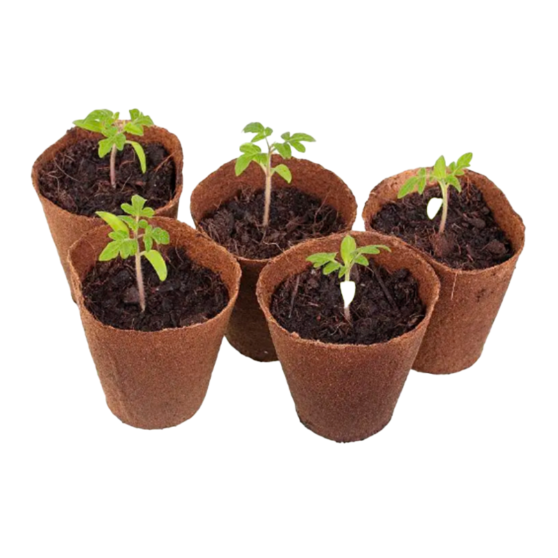 Mga kaldero ng starter ng binhi